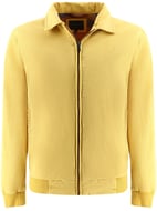 Giallo