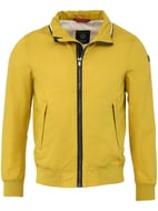 Mostarda Giallo