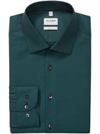 Verde scuro