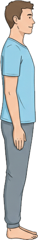 Normale